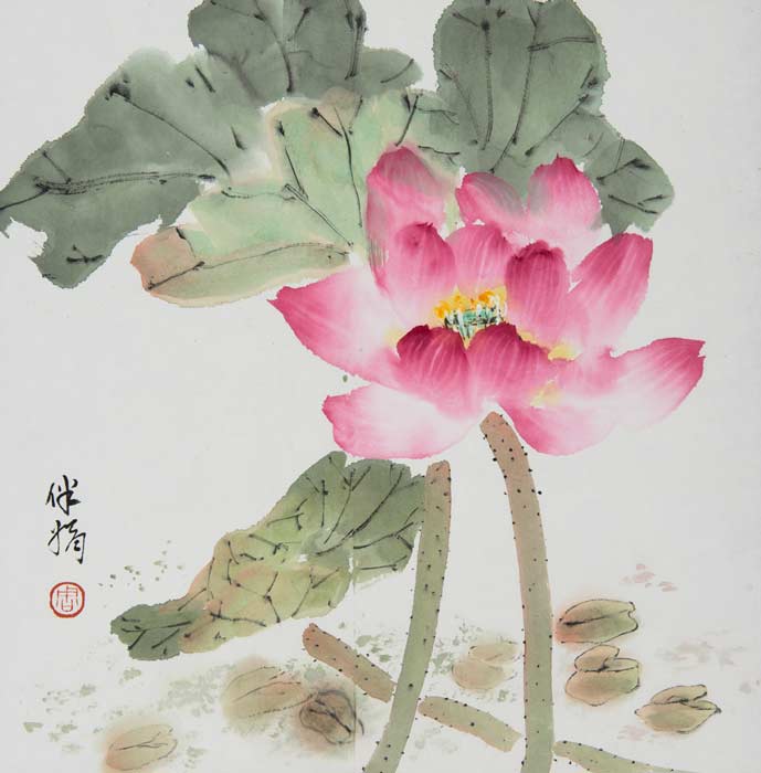 Lotus - 2012